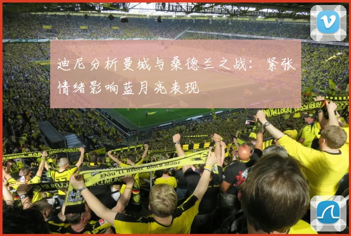 迪尼分析曼城与桑德兰之战：紧张情绪影响蓝月亮表现