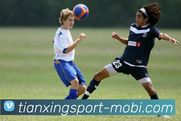 多媒体互动体验