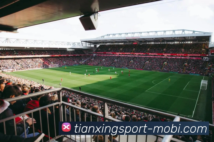 天行体育APP 体育赛事宣传图